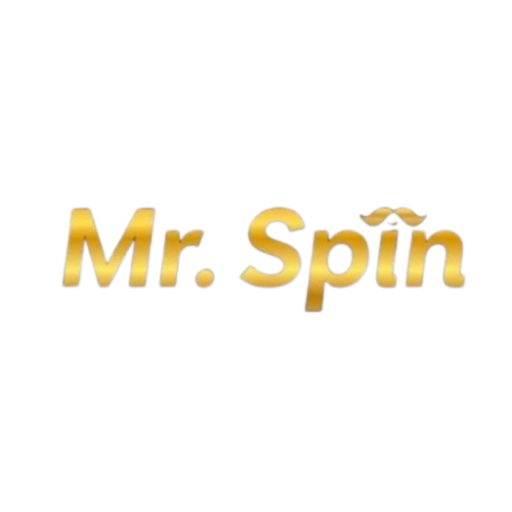 mister spin logo