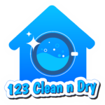 Logo Laundry 123 Dry N Clean_Kapuk, Cengkareng
